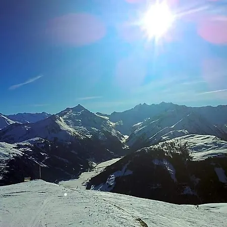 Alpenrose Hotel-garni 2*