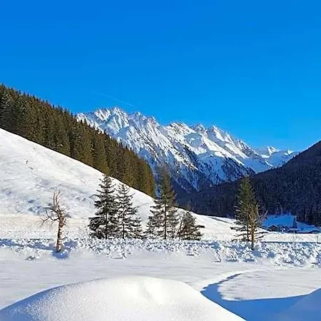 Alpenrose Hotel-garni Hotel