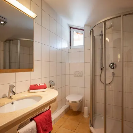 Alpenrose Hotel-garni فندق 2*