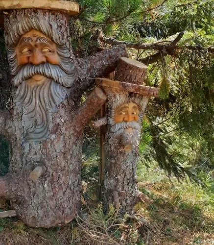 Alpenrose Hotel-garni 2* ゲルロス