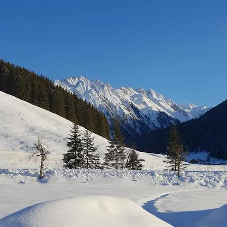 فندق Alpenrose Hotel-garni جيرلوس