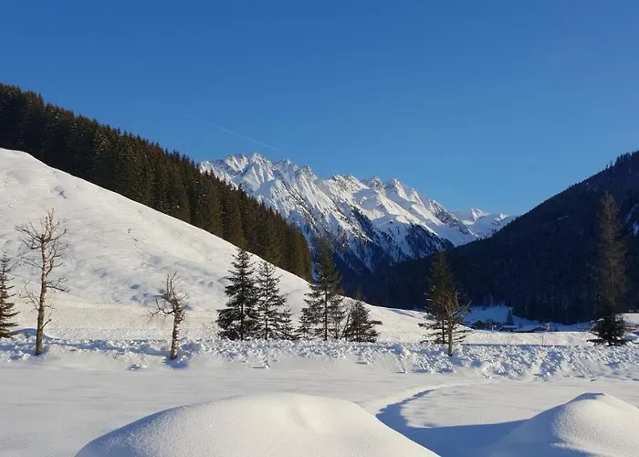 Отель Alpenrose Hotel-garni Герлос